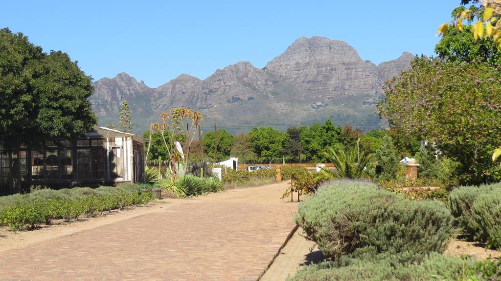 De Oude Schuur Apartamento Stellenbosch Quarto foto