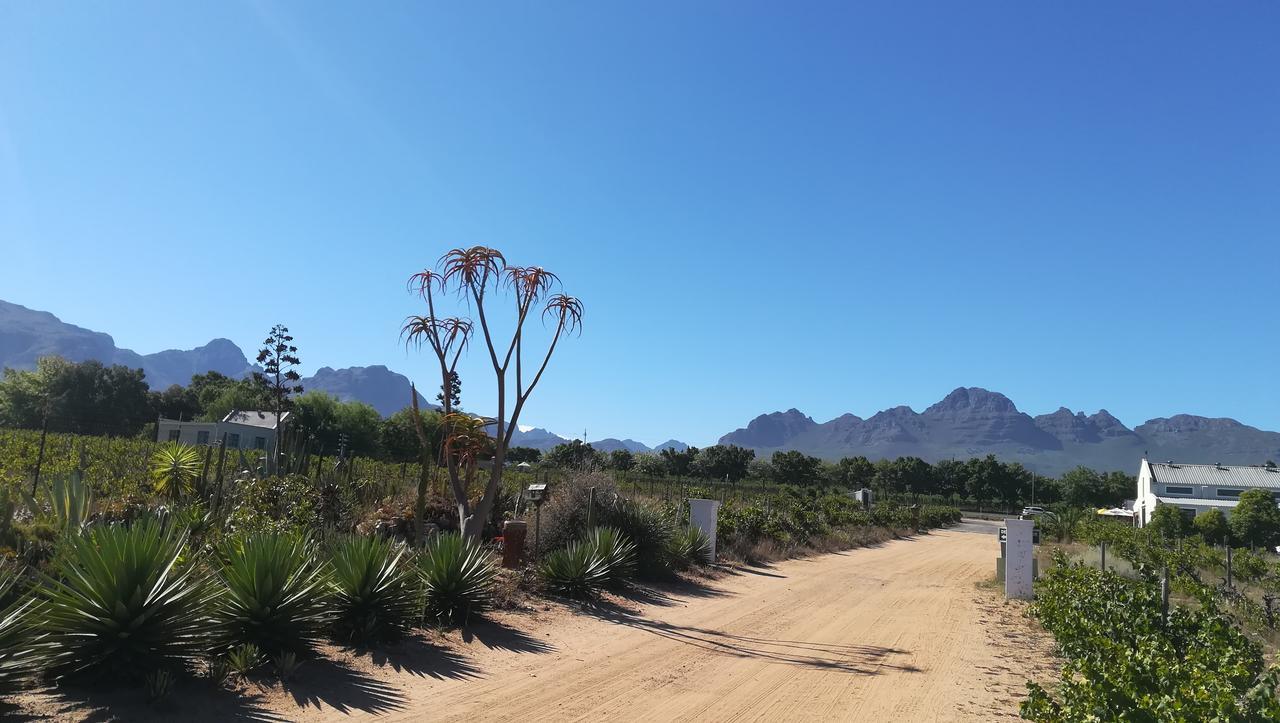 De Oude Schuur Apartamento Stellenbosch Exterior foto