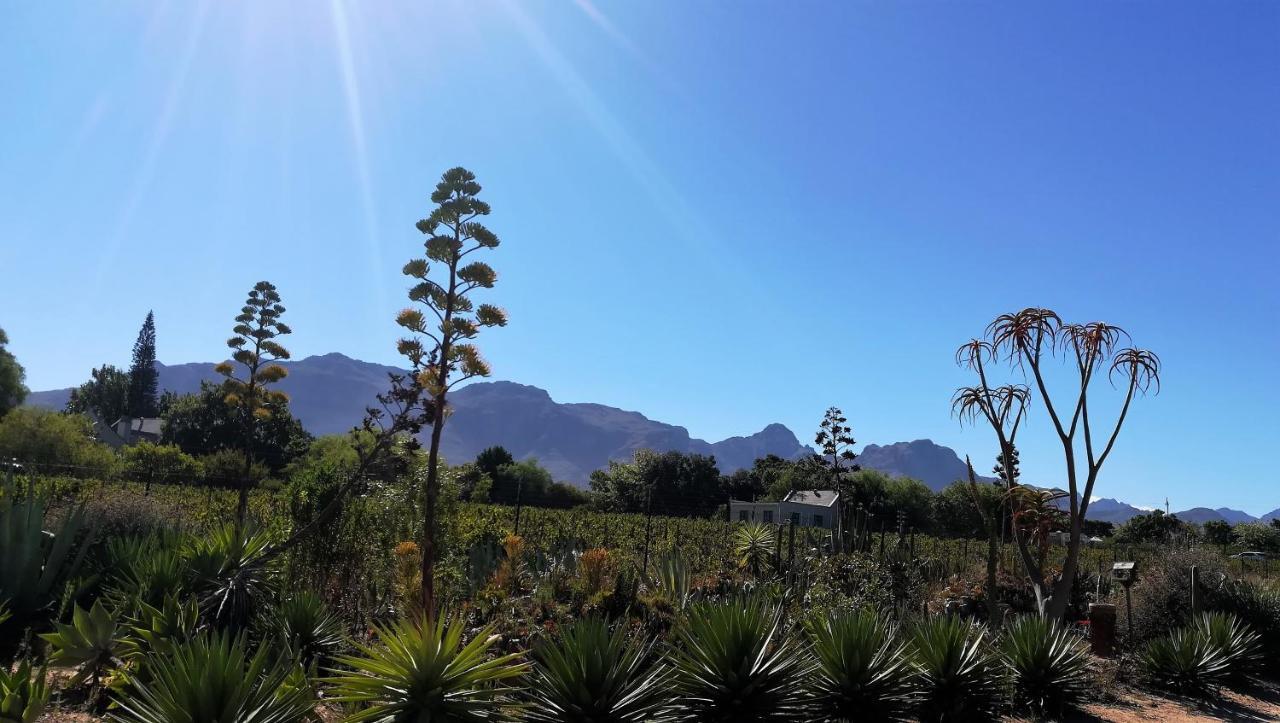 De Oude Schuur Apartamento Stellenbosch Exterior foto